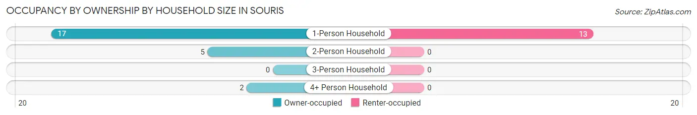 Occupancy by Ownership by Household Size in Souris