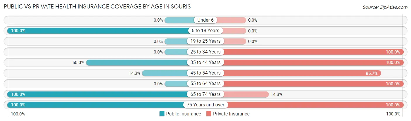 Public vs Private Health Insurance Coverage by Age in Souris