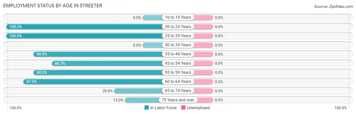Employment Status by Age in Streeter