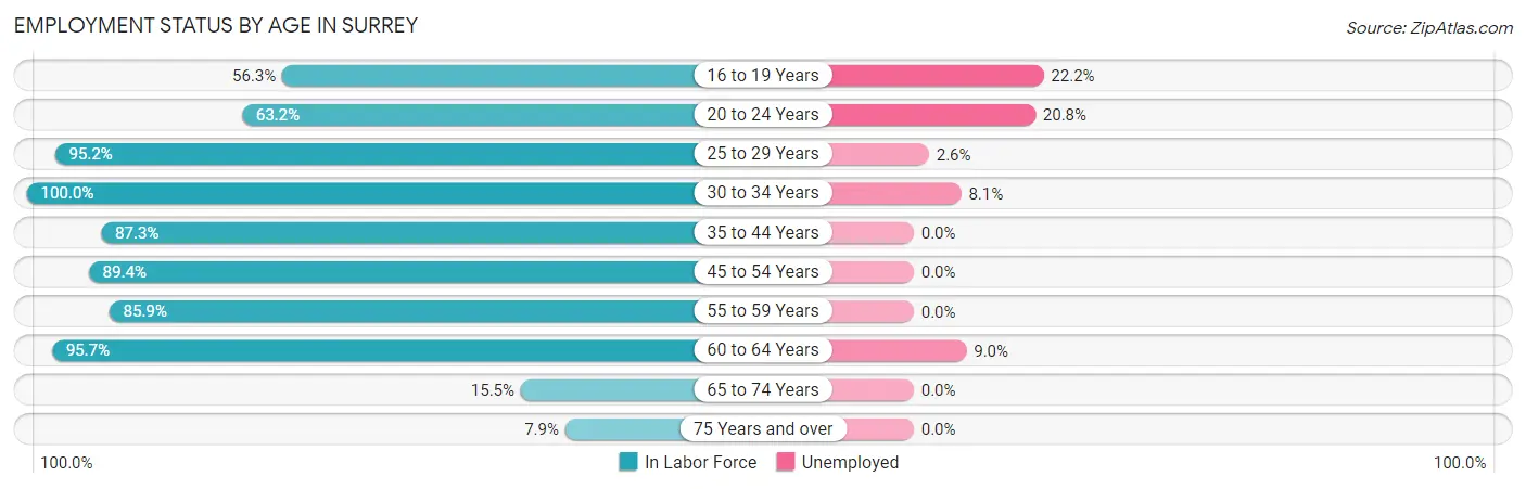 Employment Status by Age in Surrey