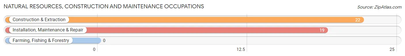 Natural Resources, Construction and Maintenance Occupations in Trenton