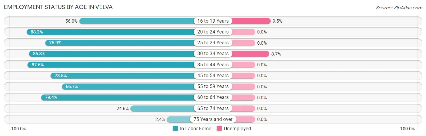 Employment Status by Age in Velva