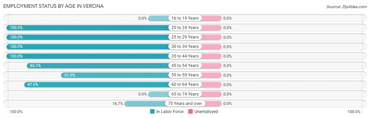 Employment Status by Age in Verona