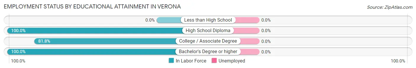 Employment Status by Educational Attainment in Verona