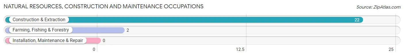 Natural Resources, Construction and Maintenance Occupations in Verona