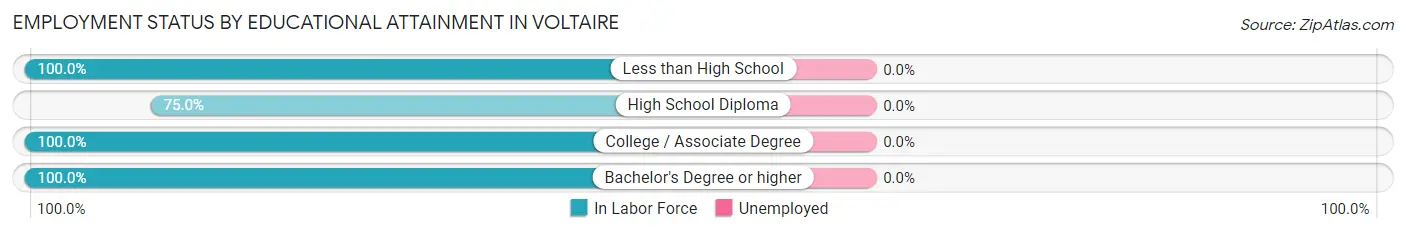 Employment Status by Educational Attainment in Voltaire