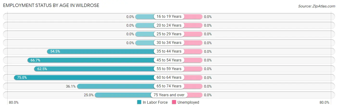 Employment Status by Age in Wildrose
