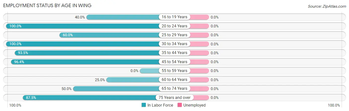 Employment Status by Age in Wing