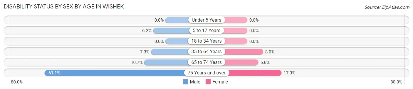 Disability Status by Sex by Age in Wishek