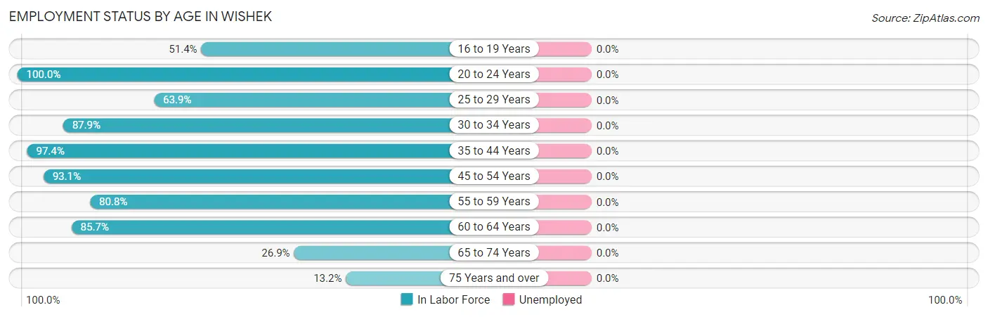 Employment Status by Age in Wishek