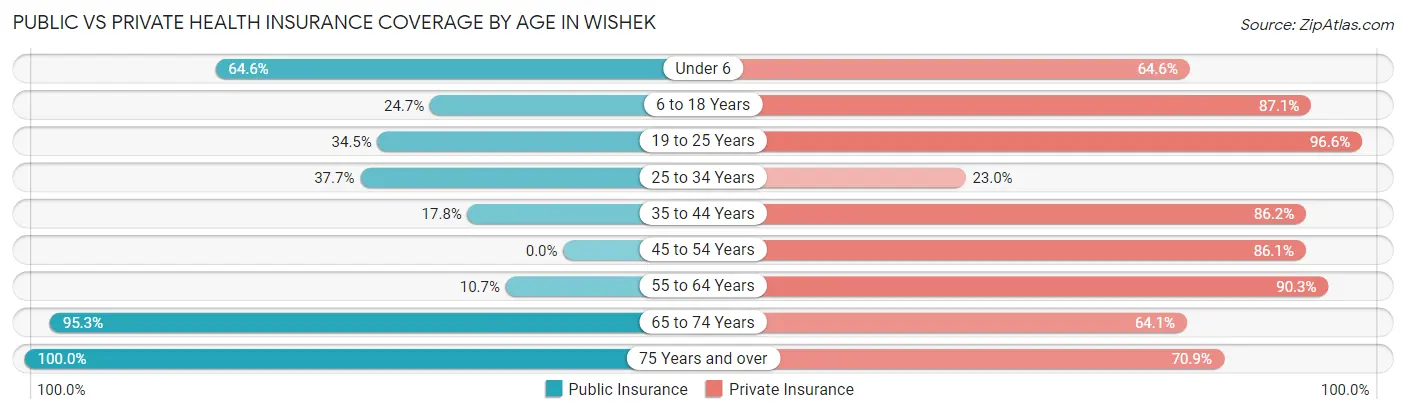 Public vs Private Health Insurance Coverage by Age in Wishek