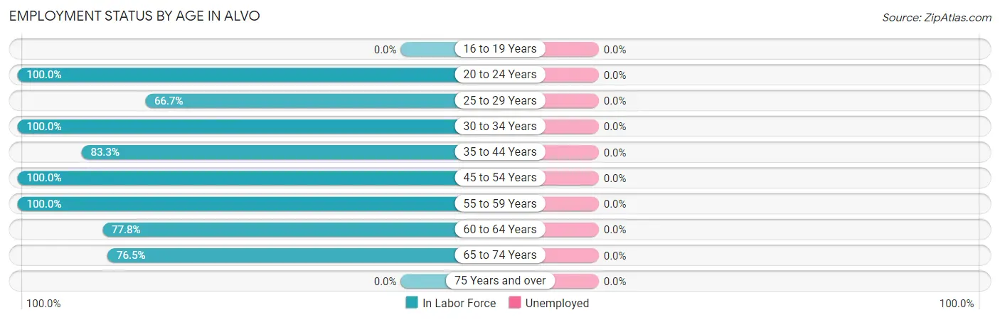 Employment Status by Age in Alvo