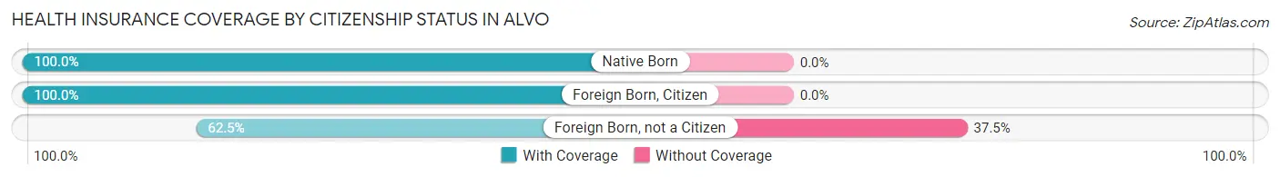 Health Insurance Coverage by Citizenship Status in Alvo