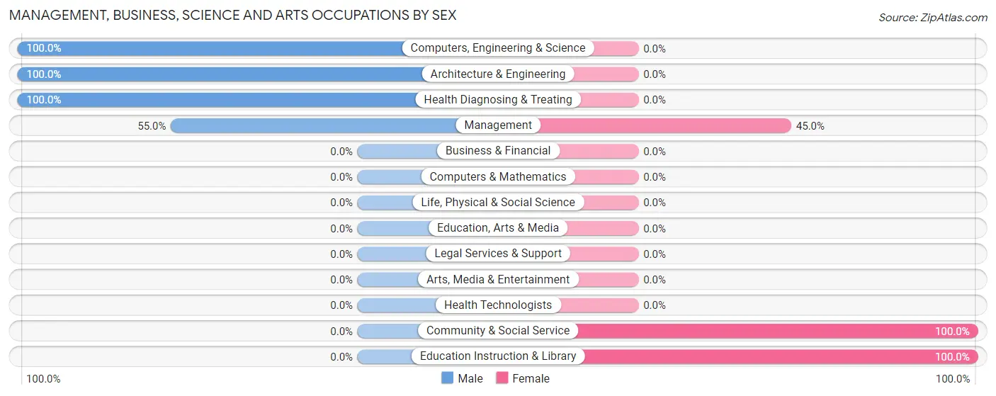 Management, Business, Science and Arts Occupations by Sex in Alvo