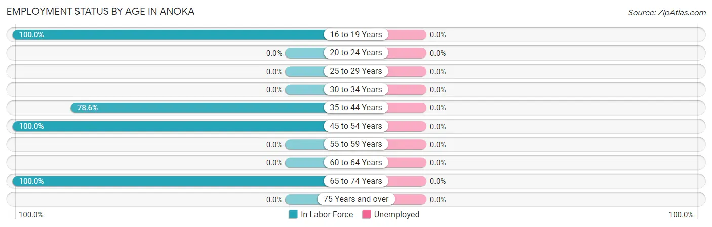 Employment Status by Age in Anoka
