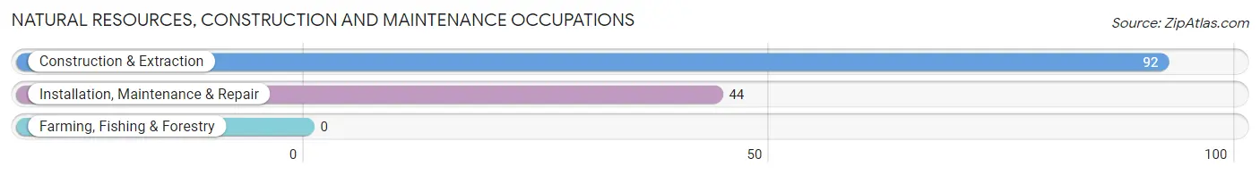 Natural Resources, Construction and Maintenance Occupations in Arlington