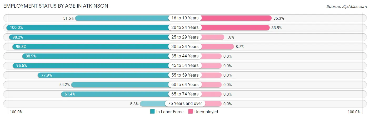 Employment Status by Age in Atkinson