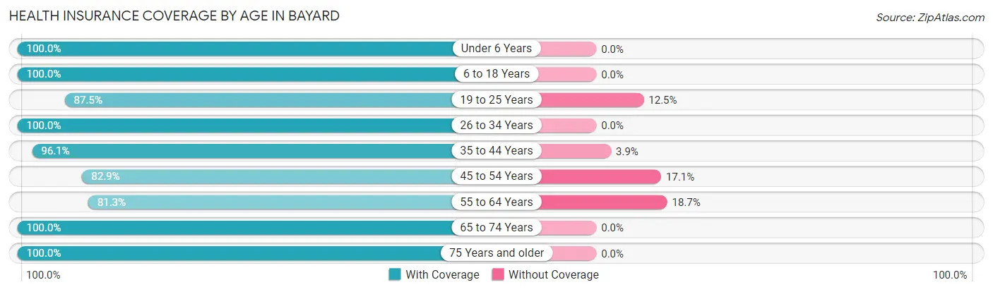 Health Insurance Coverage by Age in Bayard