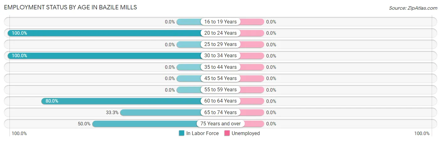 Employment Status by Age in Bazile Mills