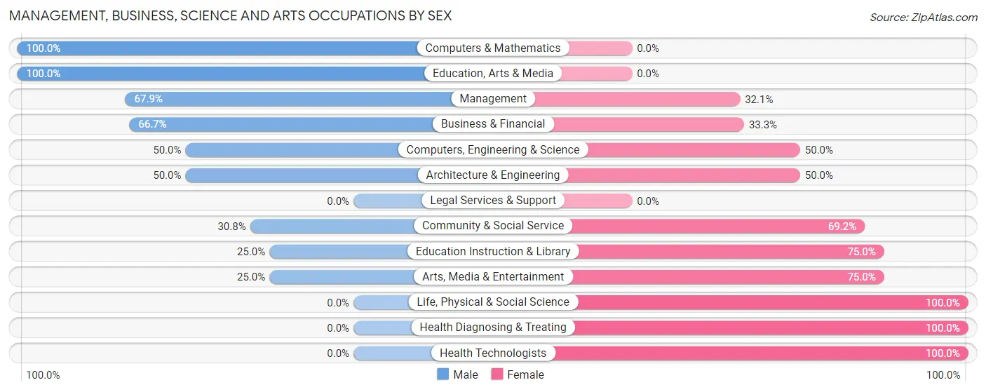 Management, Business, Science and Arts Occupations by Sex in Beemer