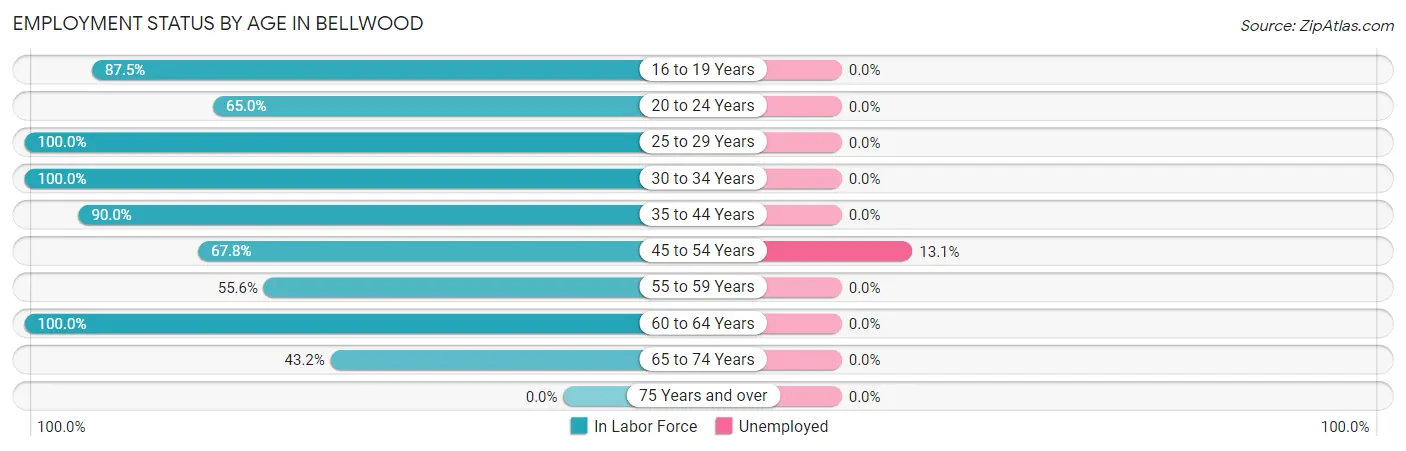 Employment Status by Age in Bellwood