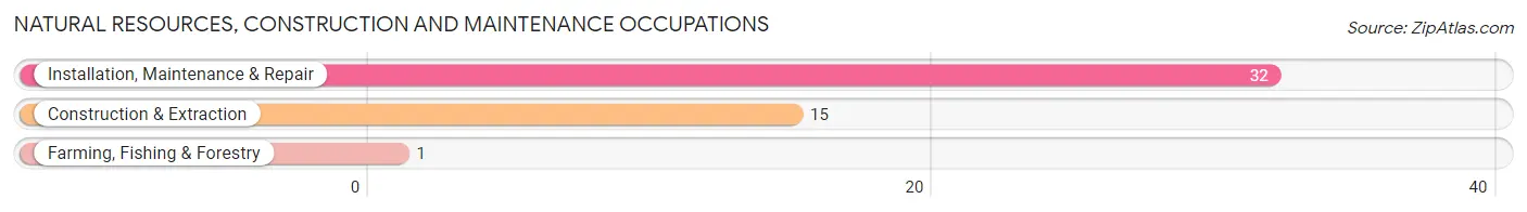 Natural Resources, Construction and Maintenance Occupations in Bellwood