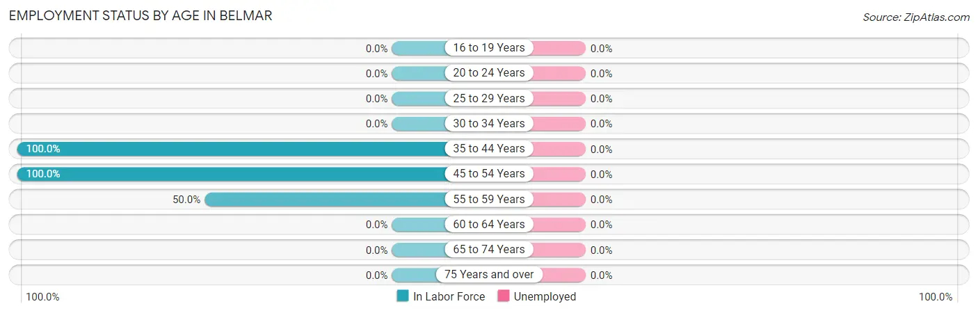 Employment Status by Age in Belmar
