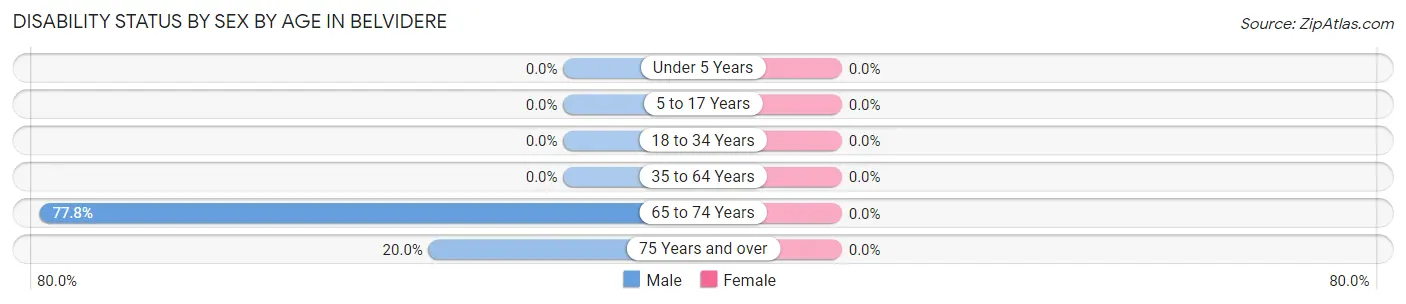 Disability Status by Sex by Age in Belvidere