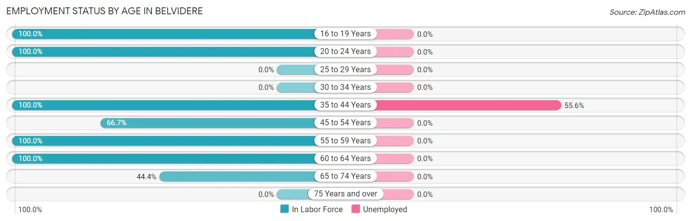 Employment Status by Age in Belvidere