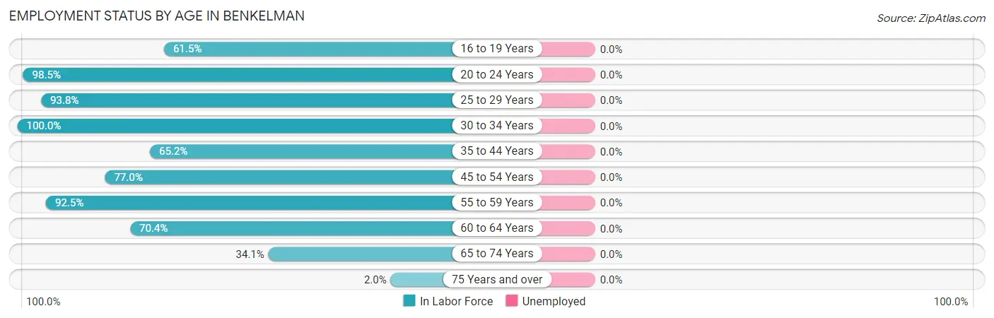 Employment Status by Age in Benkelman