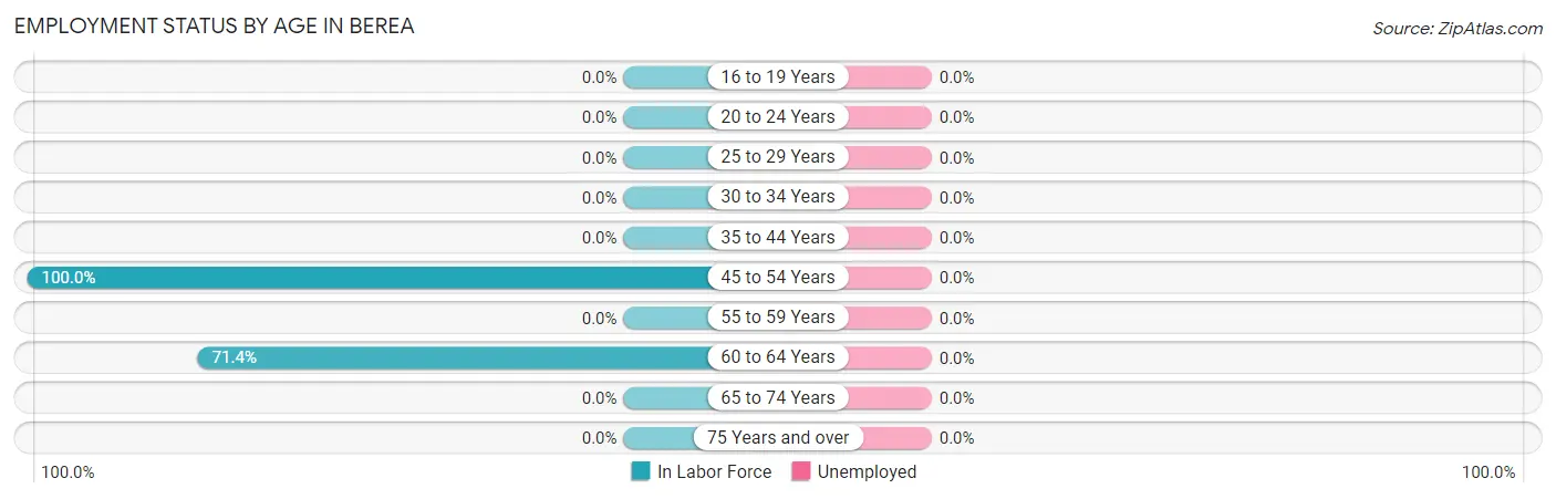 Employment Status by Age in Berea