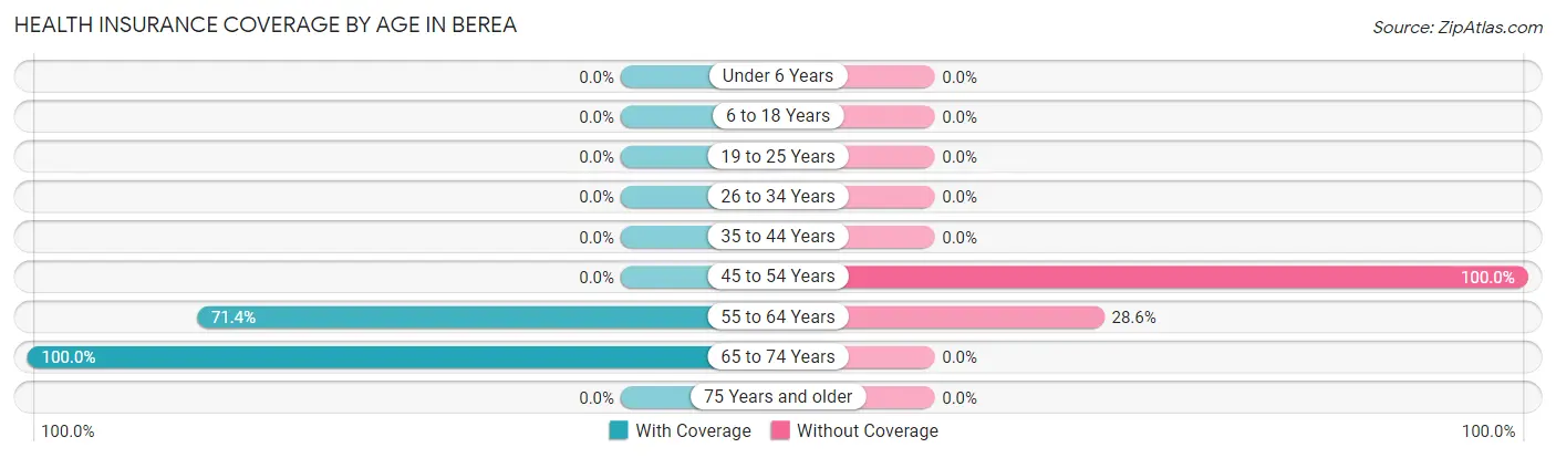 Health Insurance Coverage by Age in Berea