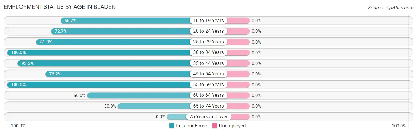 Employment Status by Age in Bladen