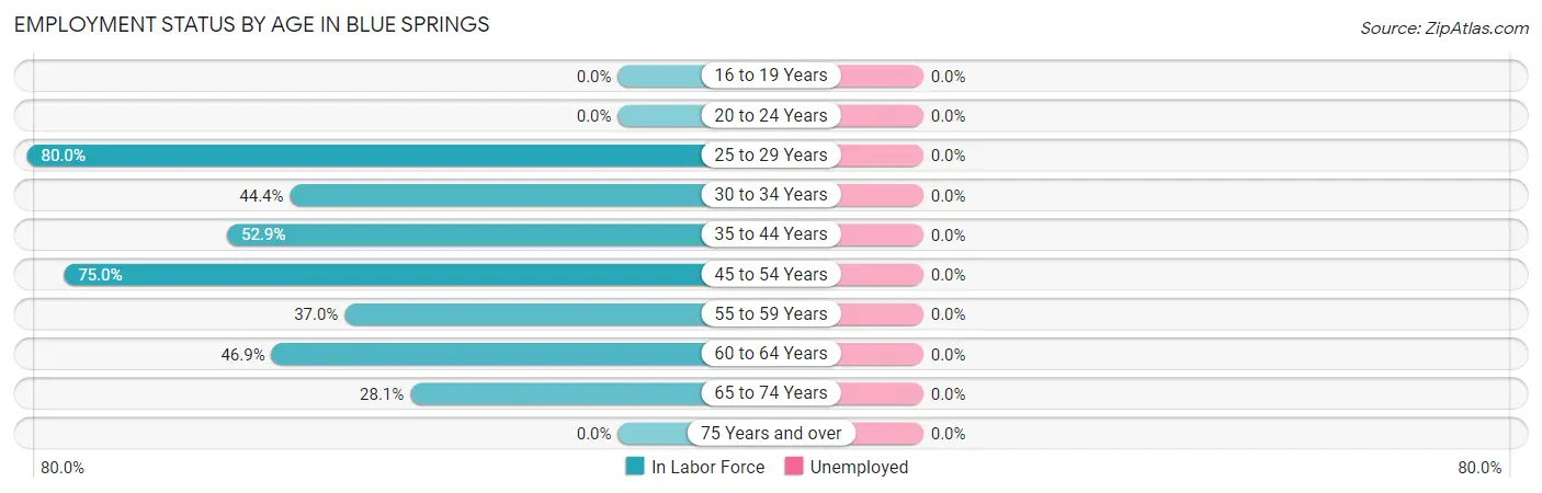 Employment Status by Age in Blue Springs