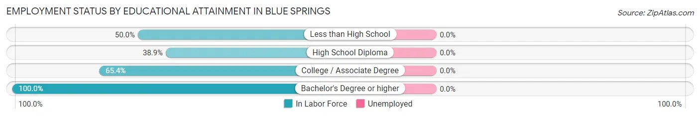 Employment Status by Educational Attainment in Blue Springs