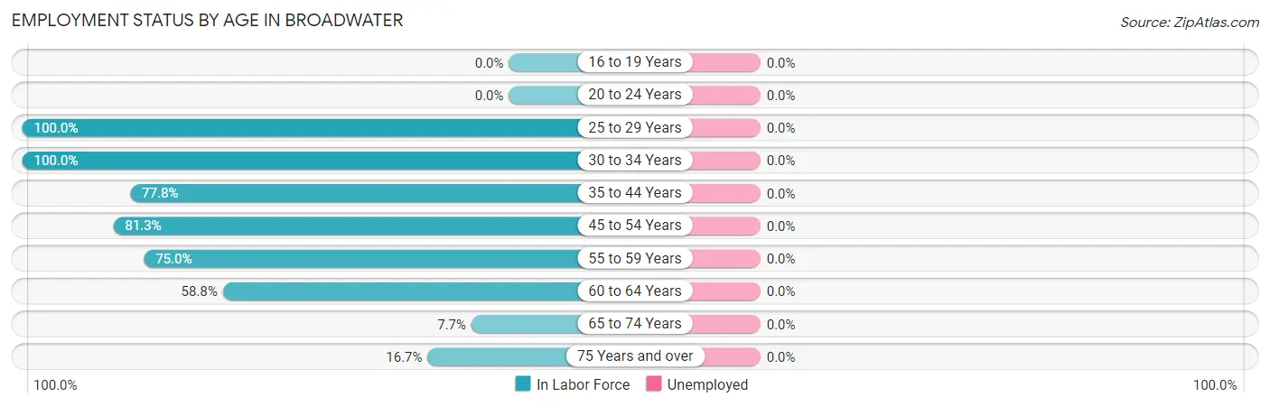 Employment Status by Age in Broadwater