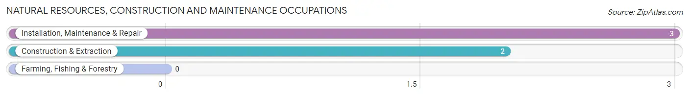 Natural Resources, Construction and Maintenance Occupations in Brock