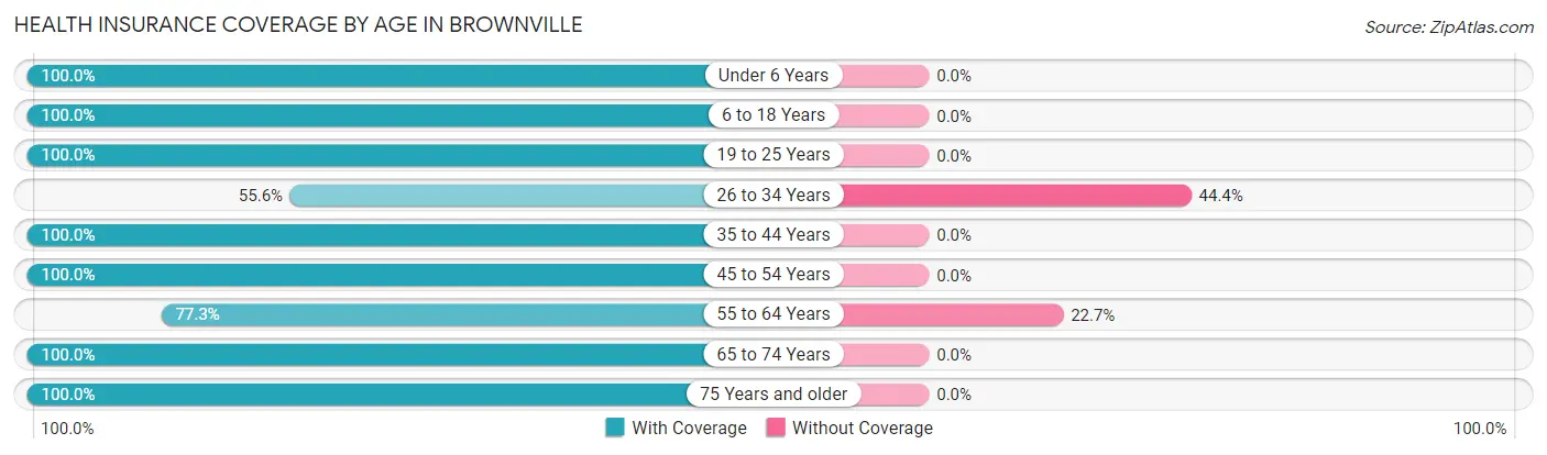 Health Insurance Coverage by Age in Brownville