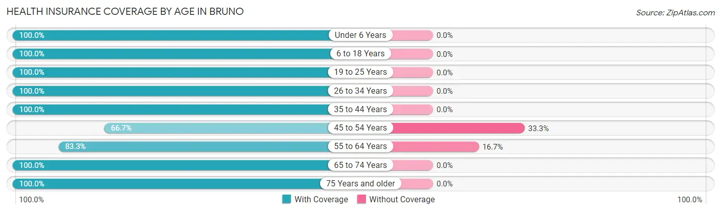 Health Insurance Coverage by Age in Bruno