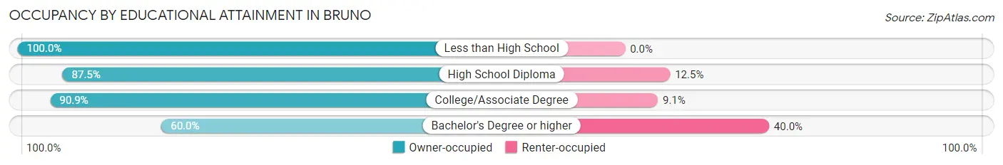Occupancy by Educational Attainment in Bruno