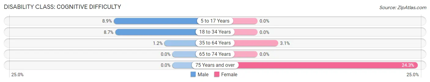 Disability in Cairo: <span>Cognitive Difficulty</span>