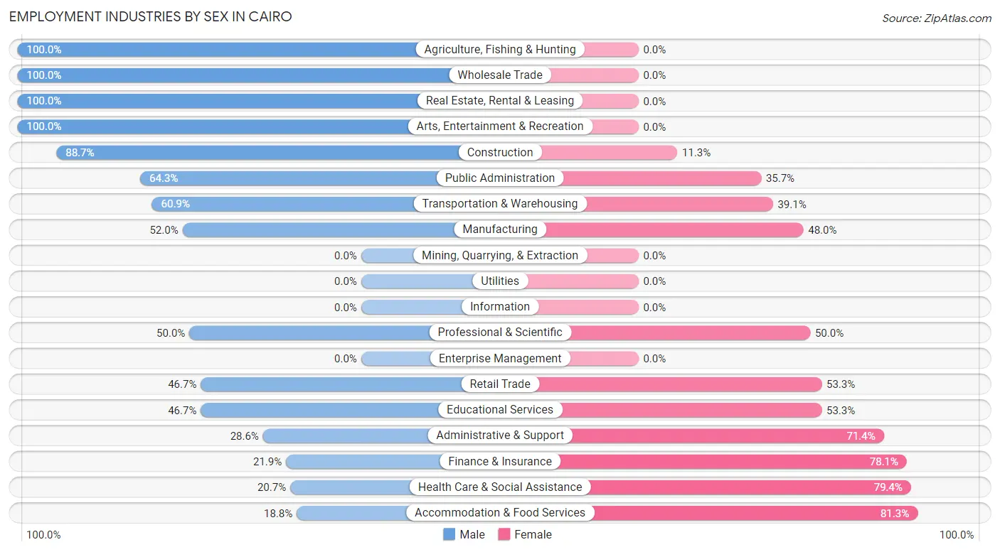 Employment Industries by Sex in Cairo