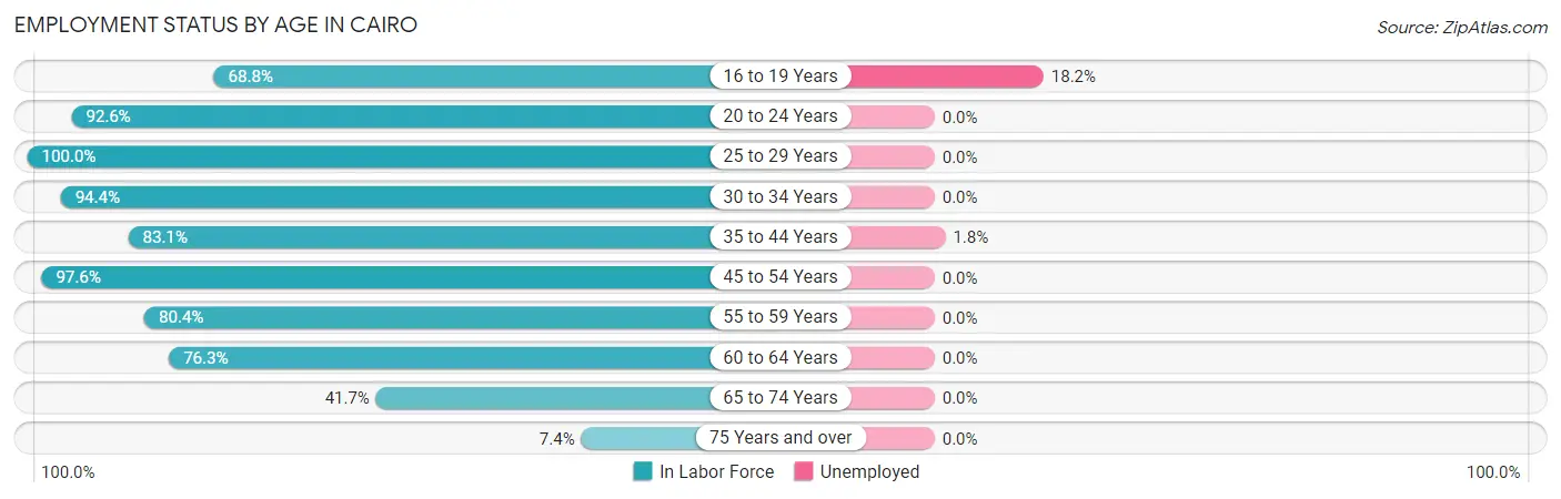 Employment Status by Age in Cairo