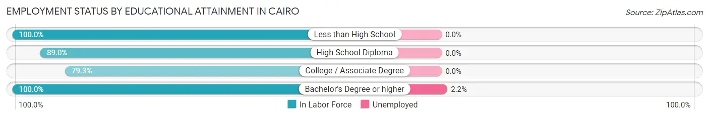 Employment Status by Educational Attainment in Cairo