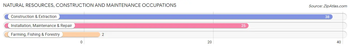 Natural Resources, Construction and Maintenance Occupations in Cairo