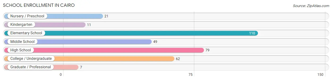 School Enrollment in Cairo