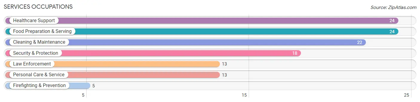 Services Occupations in Cairo