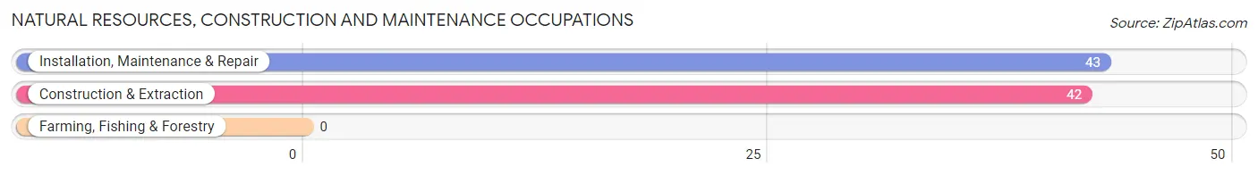 Natural Resources, Construction and Maintenance Occupations in Ceresco