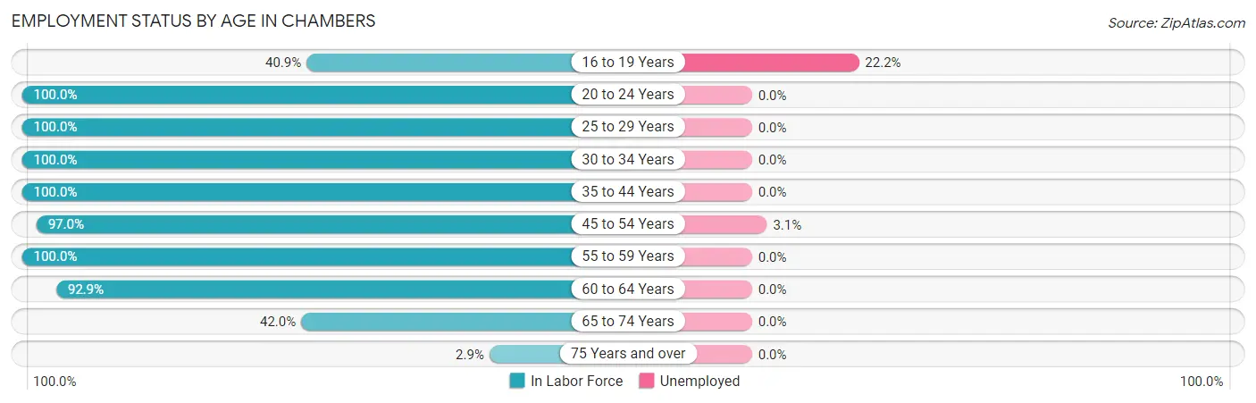 Employment Status by Age in Chambers