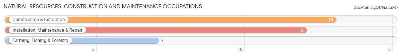 Natural Resources, Construction and Maintenance Occupations in Chester